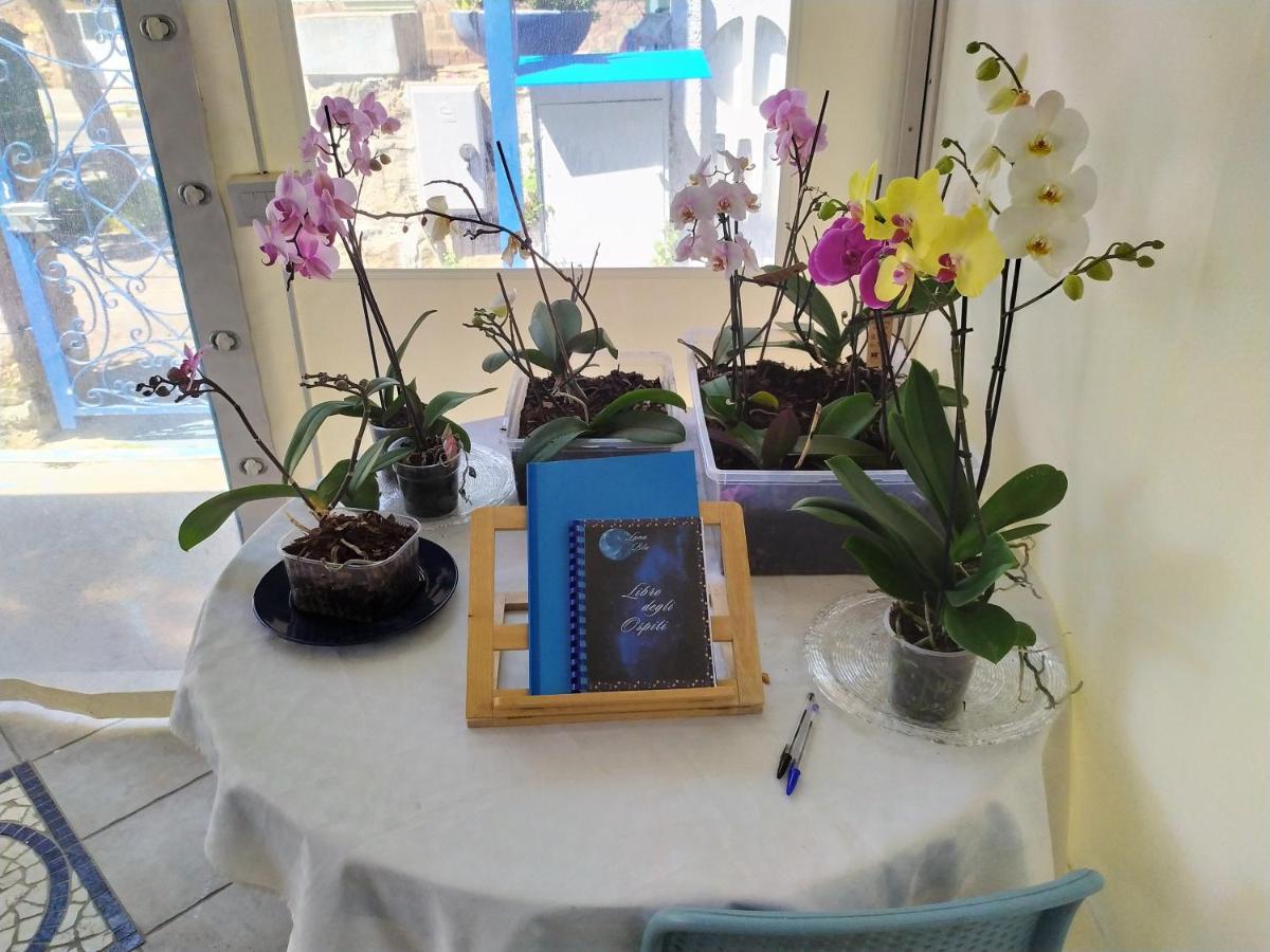 B&B Luna Blu Карбония Экстерьер фото